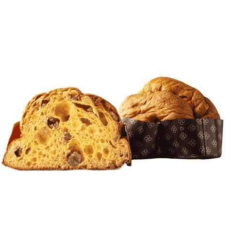 Colomba The Rag